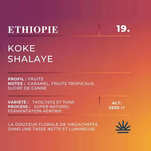 Étiquette café Éthiopie Yirgacheffe Koke Shalaye, super nature – Café d'Oriant