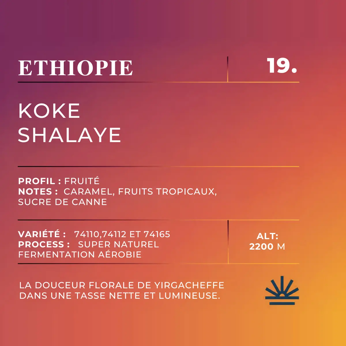 Étiquette café Éthiopie Yirgacheffe Koke Shalaye, super nature – Café d'Oriant